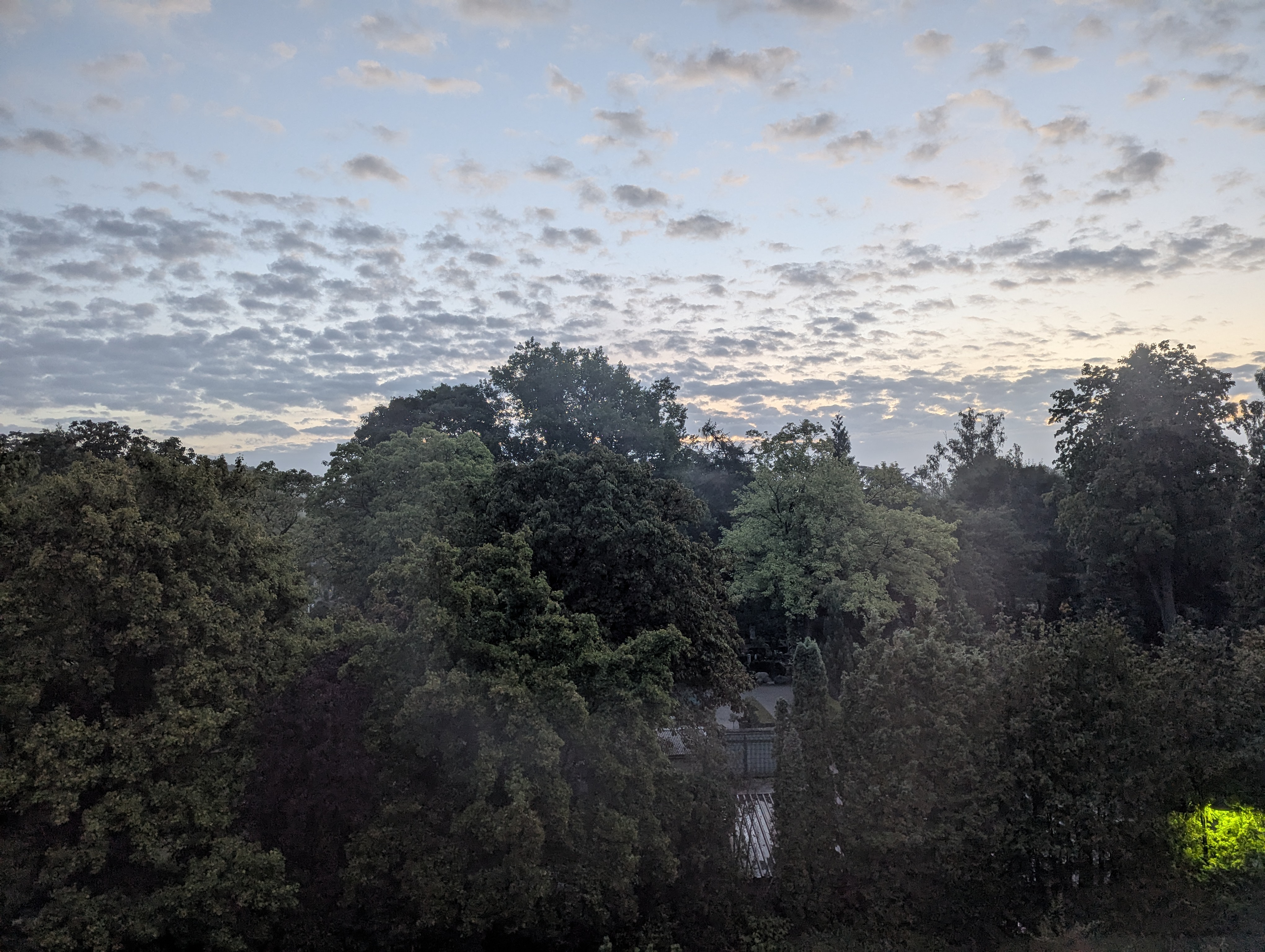 train, Muenster, Koln, Germany